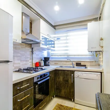 Chic And Modern Flat 5 Min To Nisantasi And Citys アパート イスタンブール